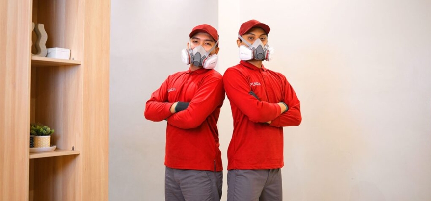 Jasa Anti Rayap Terbaik