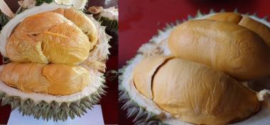 Ini Dia Durian Unggulan Malaysia Duri Hitam (Ochee), Lebih Enak dari Musang King 